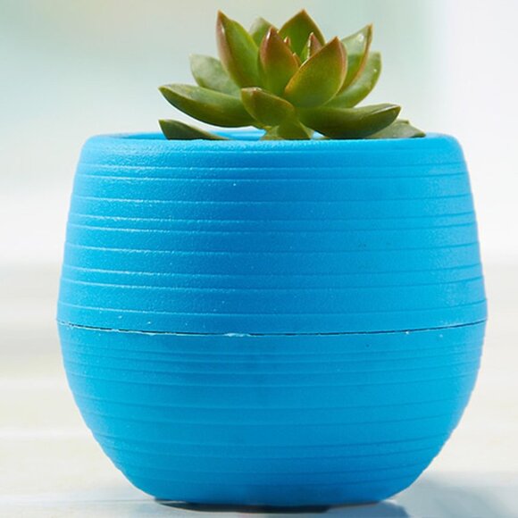 Unbreakable Blue Succulent Planter Pot - Picture 4 of 16